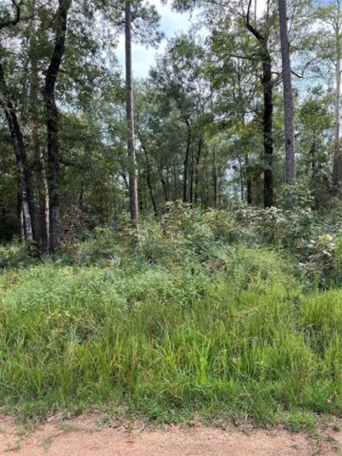 Picture of Residential Land For Sale in Shepherd, Texas, United States