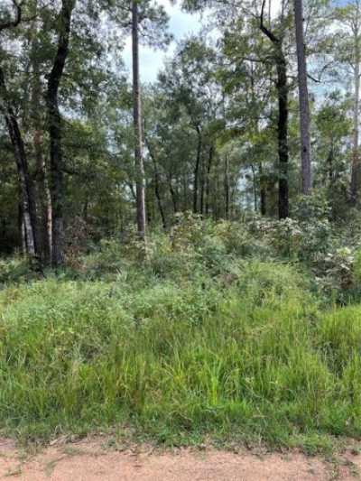 Residential Land For Sale in Shepherd, Texas