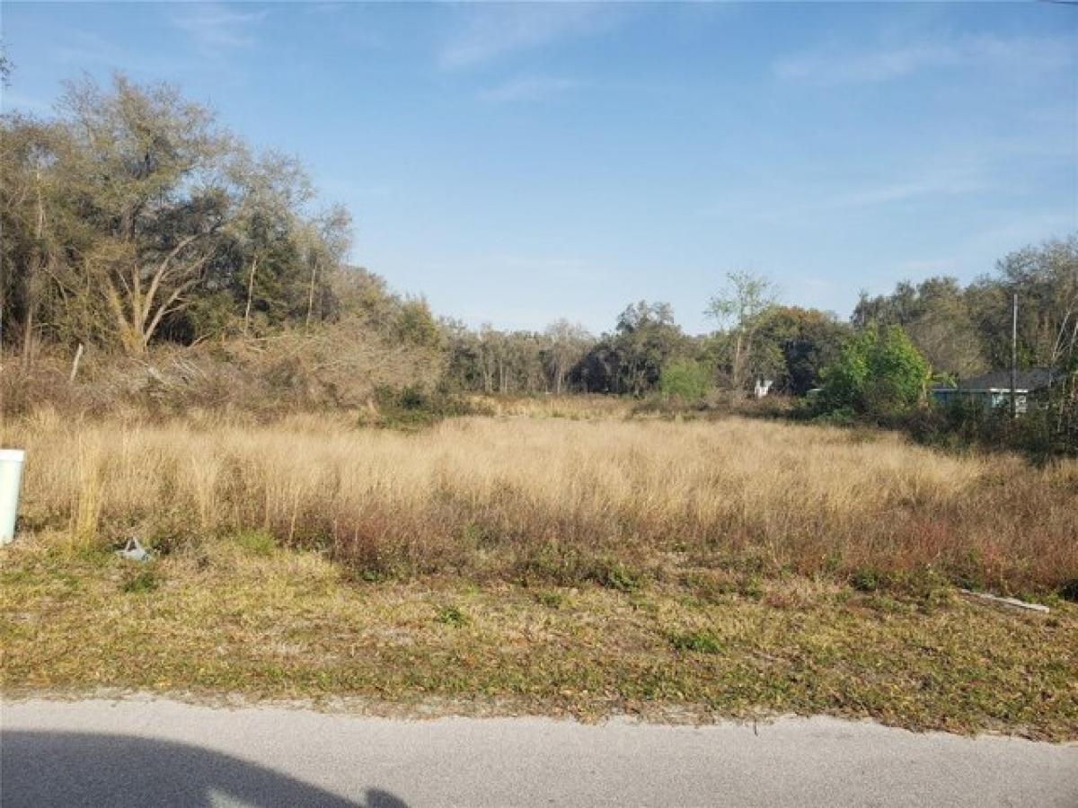 Picture of Residential Land For Sale in Webster, Florida, United States