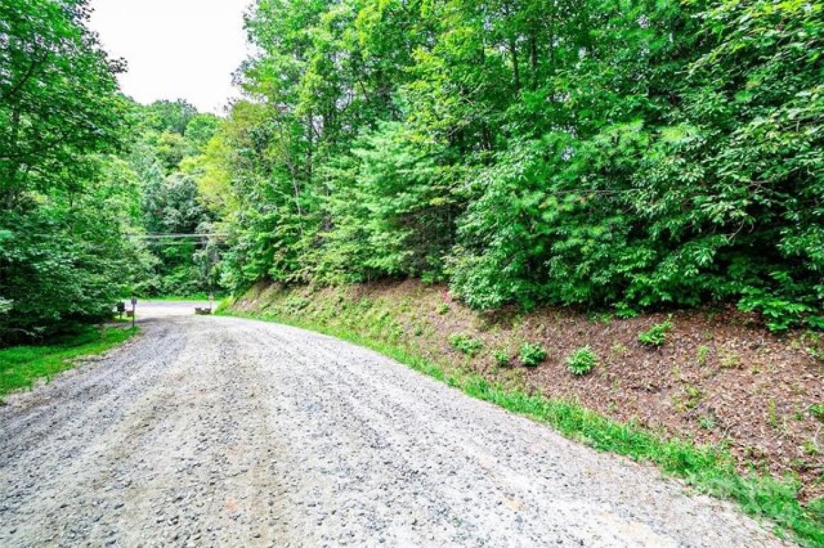 Picture of Residential Land For Sale in Brevard, North Carolina, United States