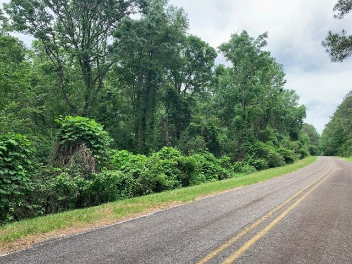 Picture of Residential Land For Sale in Silver Creek, Mississippi, United States