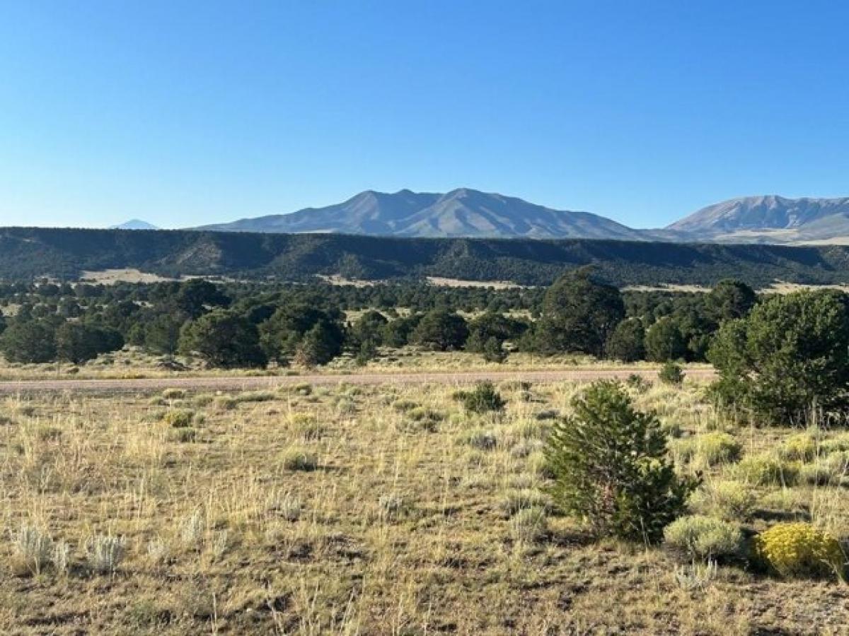 Picture of Residential Land For Sale in Gardner, Colorado, United States