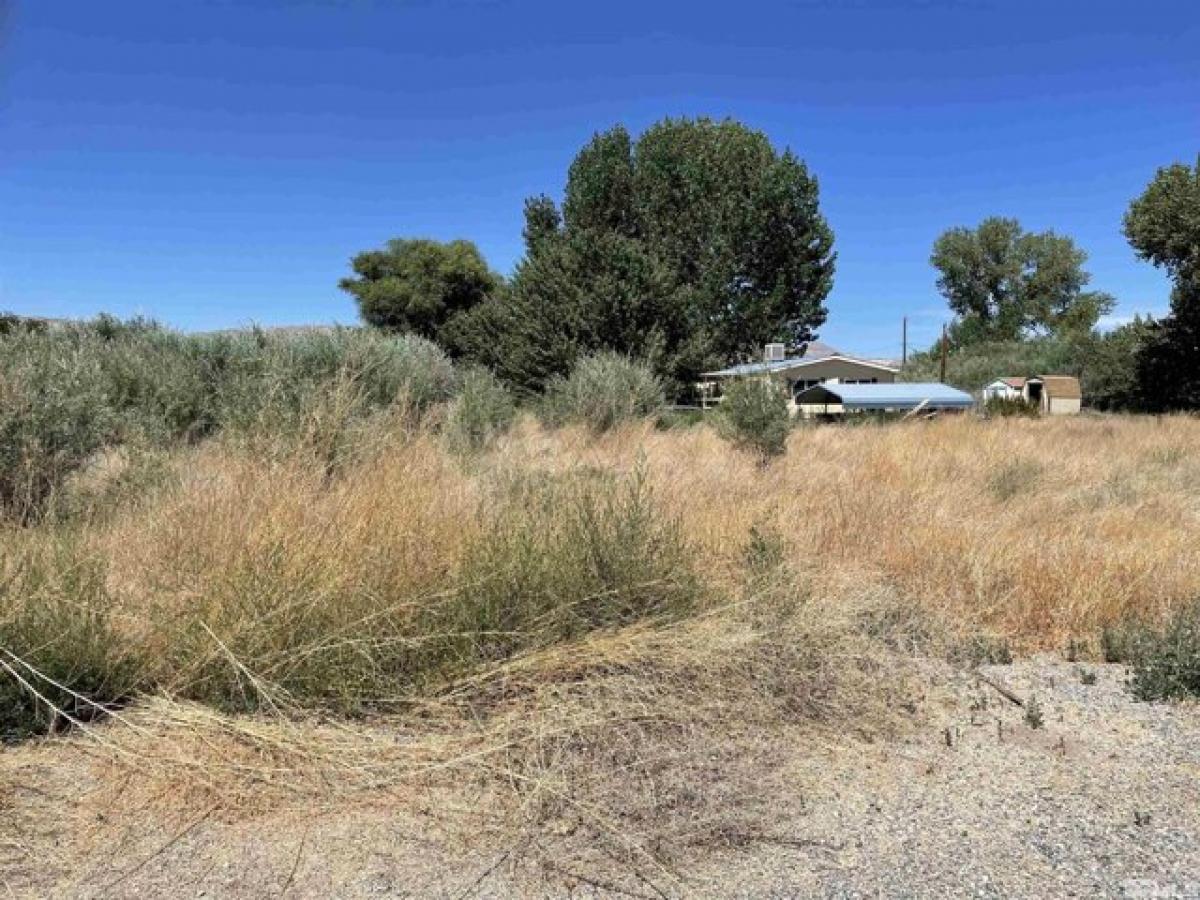 Picture of Residential Land For Sale in Yerington, Nevada, United States