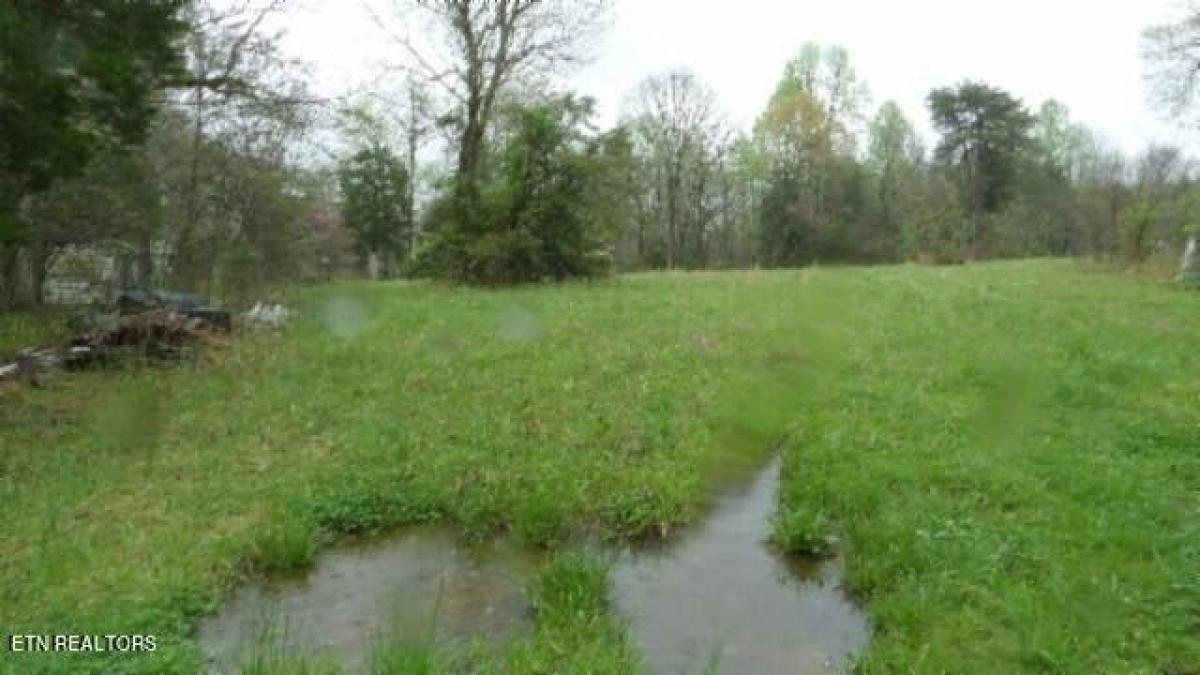 Picture of Residential Land For Sale in Moss, Tennessee, United States