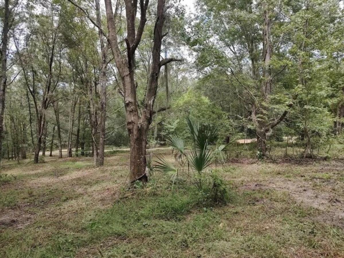 Picture of Residential Land For Sale in Brooksville, Florida, United States