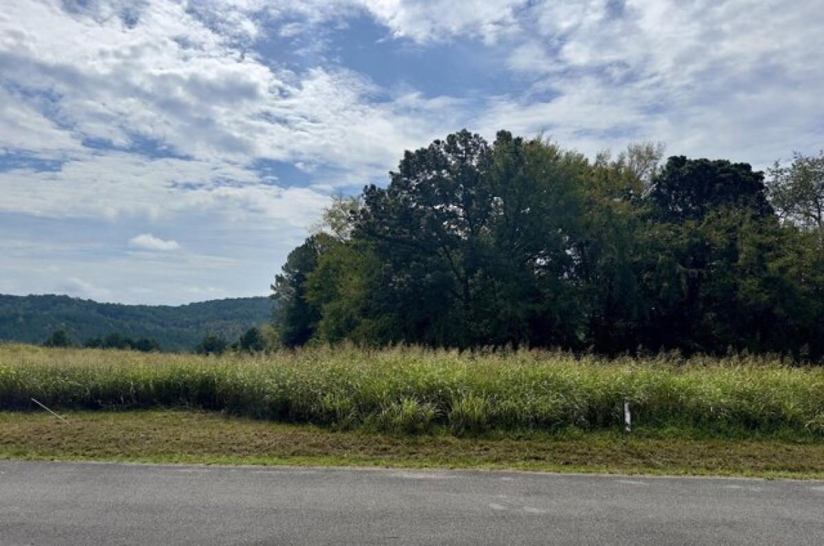 Picture of Residential Land For Sale in Decatur, Tennessee, United States