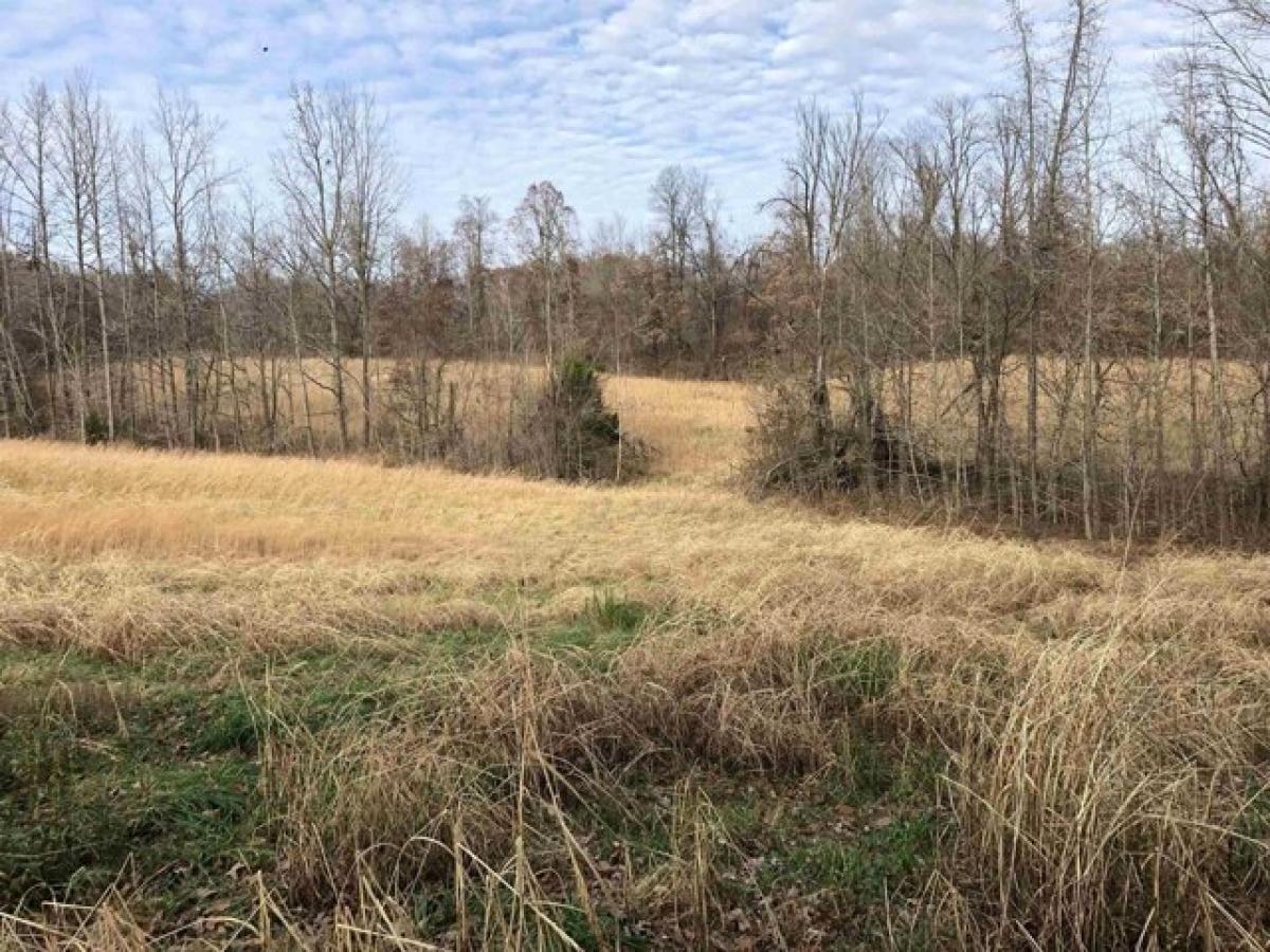 Picture of Residential Land For Sale in Burlison, Tennessee, United States