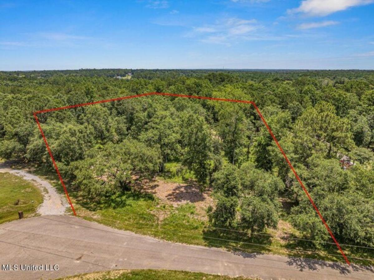 Picture of Residential Land For Sale in Pass Christian, Mississippi, United States