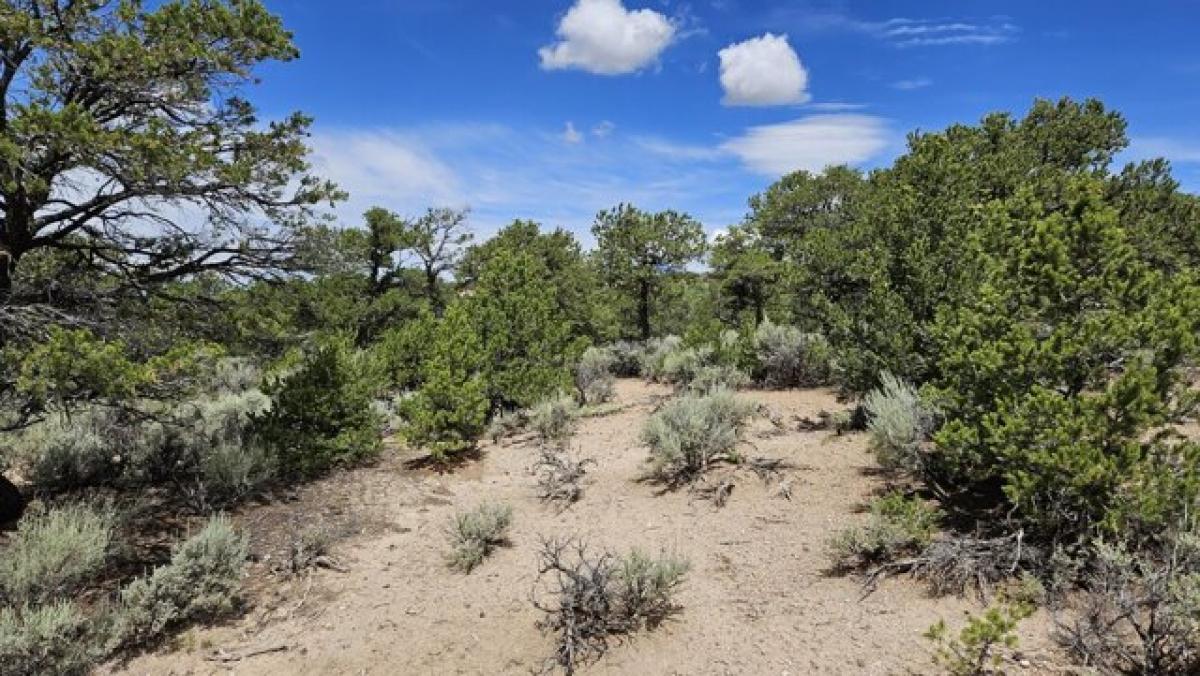 Picture of Residential Land For Sale in Fort Garland, Colorado, United States