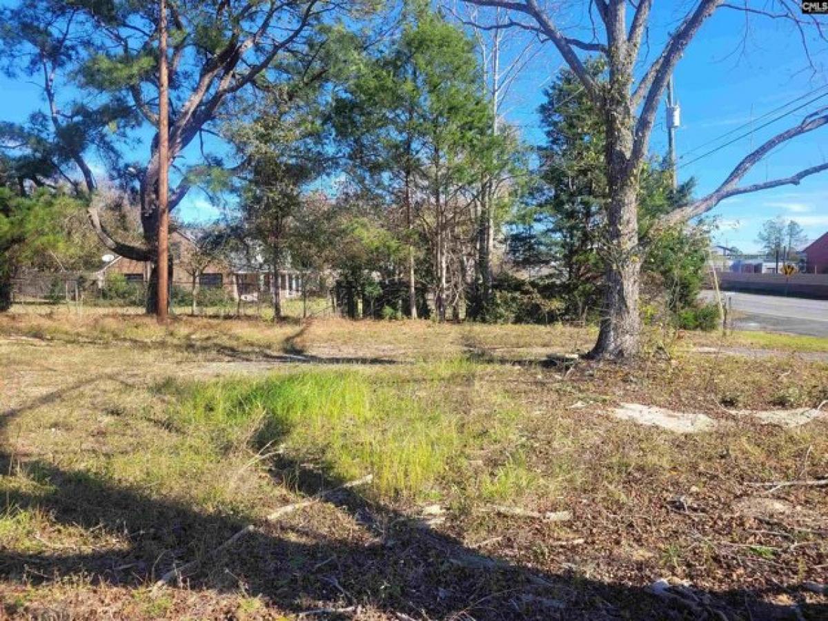 Picture of Residential Land For Sale in Leesville, South Carolina, United States