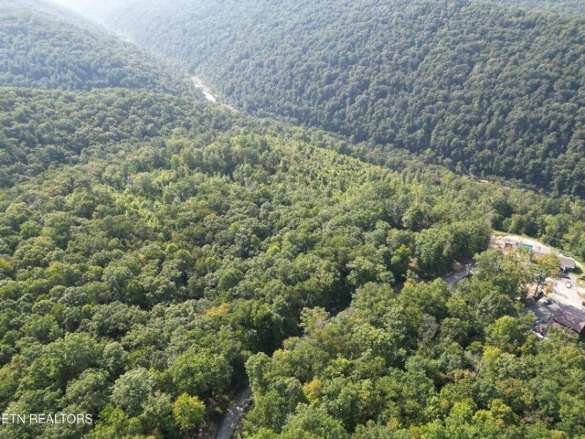 Picture of Residential Land For Sale in Wartburg, Tennessee, United States