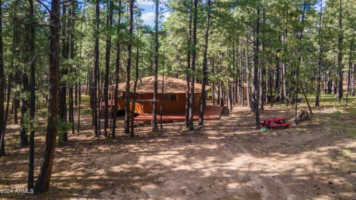 Picture of Home For Sale in Forest Lakes, Arizona, United States