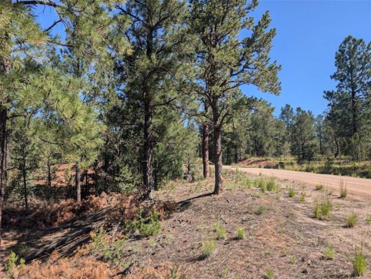 Picture of Residential Land For Sale in Pecos, New Mexico, United States