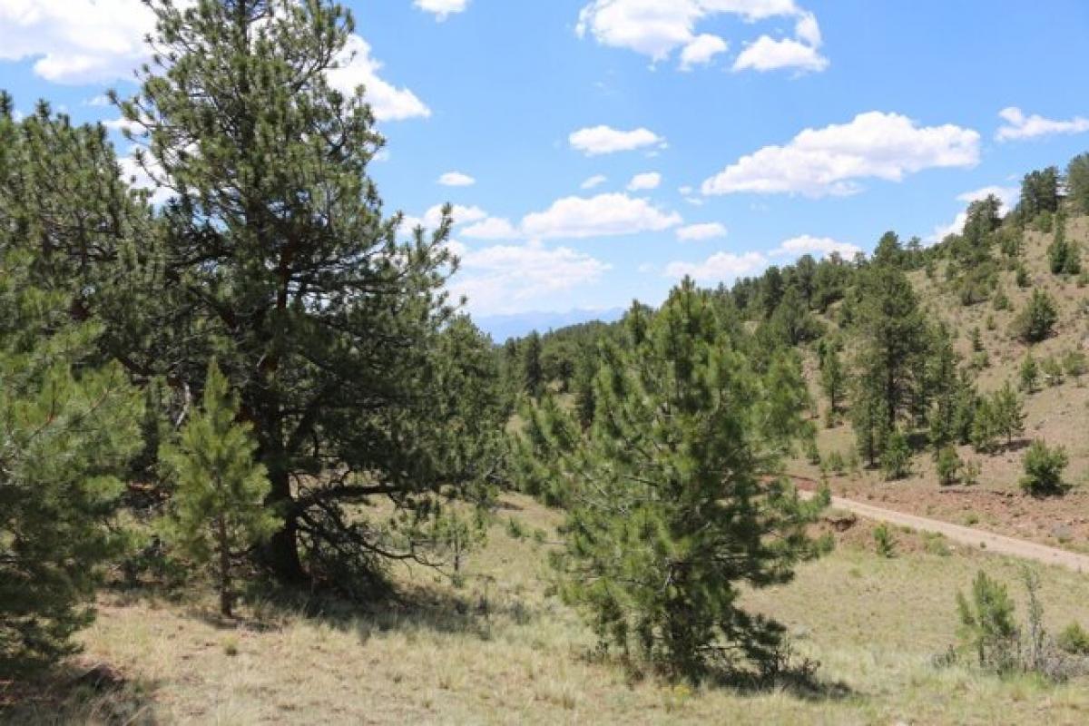 Picture of Residential Land For Sale in Cotopaxi, Colorado, United States