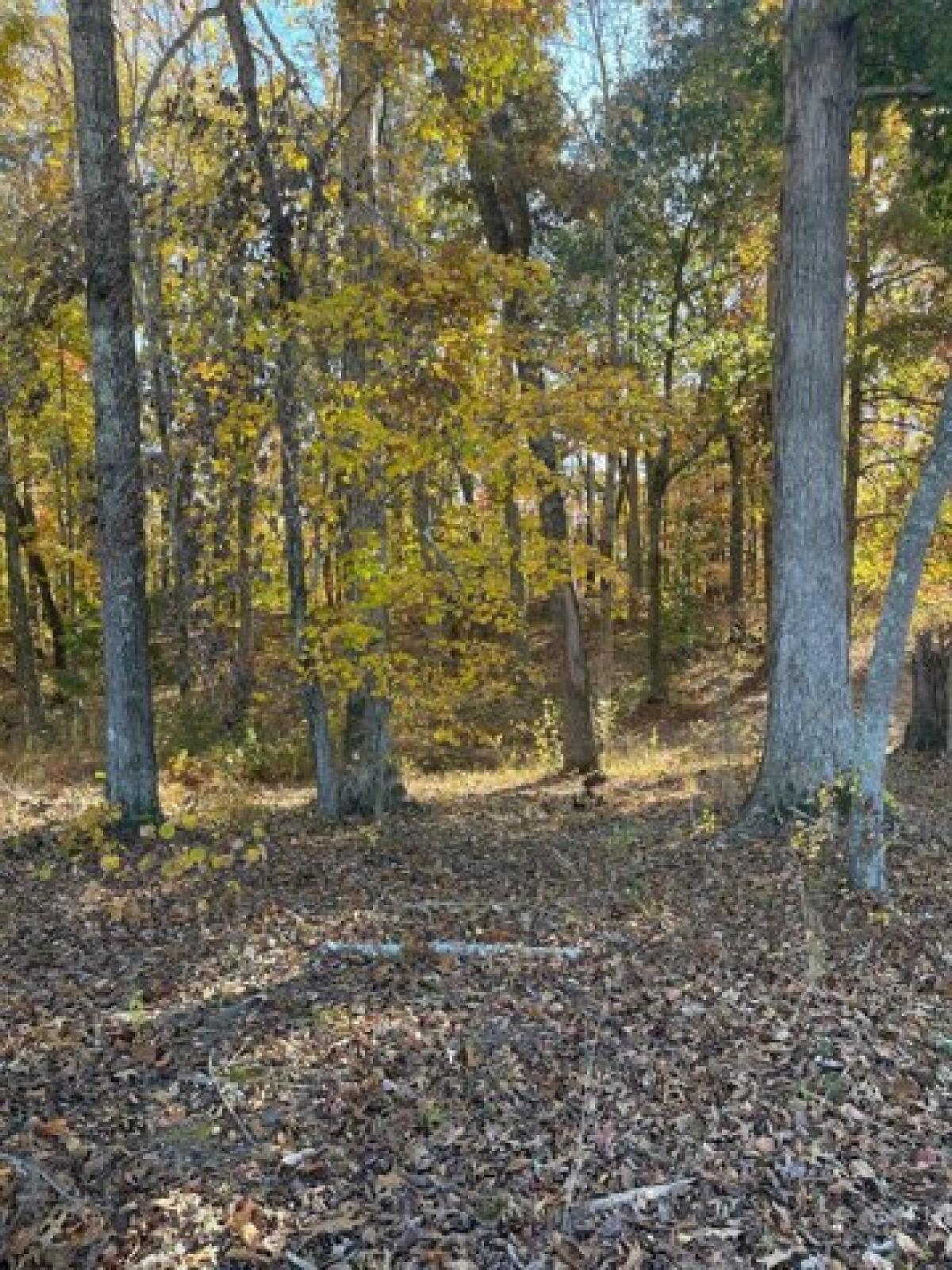 Picture of Residential Land For Sale in Mcminnville, Tennessee, United States