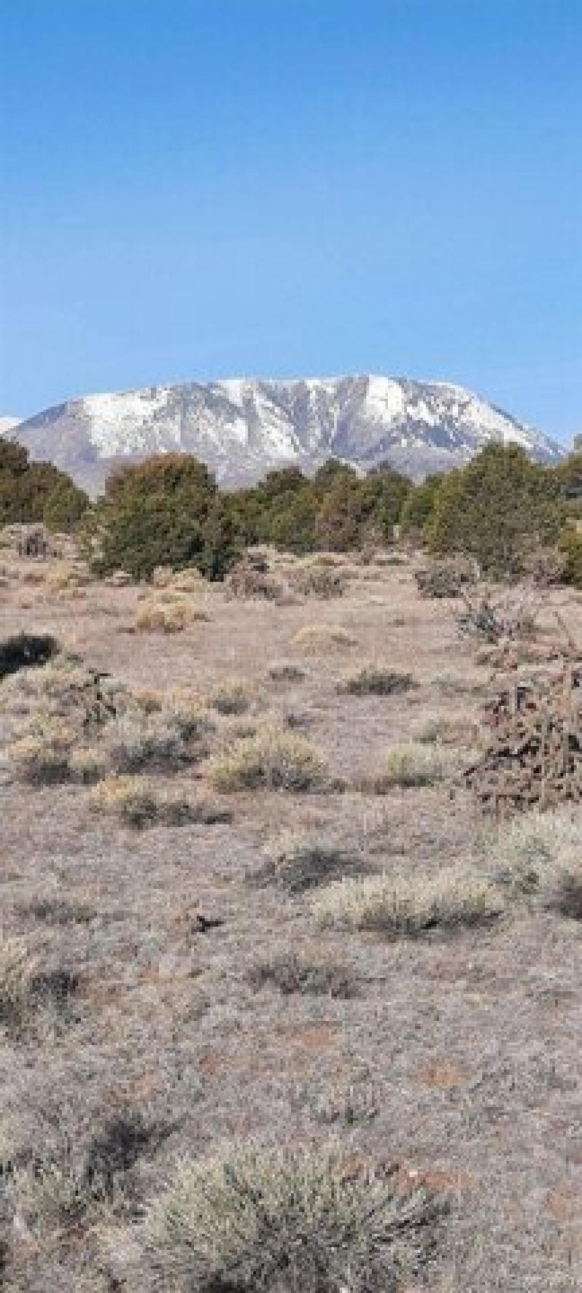 Picture of Residential Land For Sale in Walsenburg, Colorado, United States