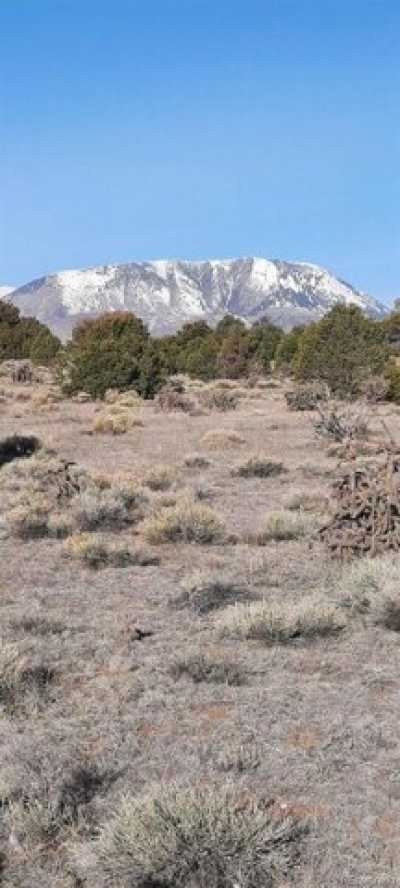 Residential Land For Sale in Walsenburg, Colorado