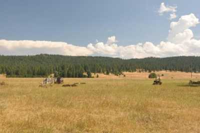 Residential Land For Sale in McCall, Idaho