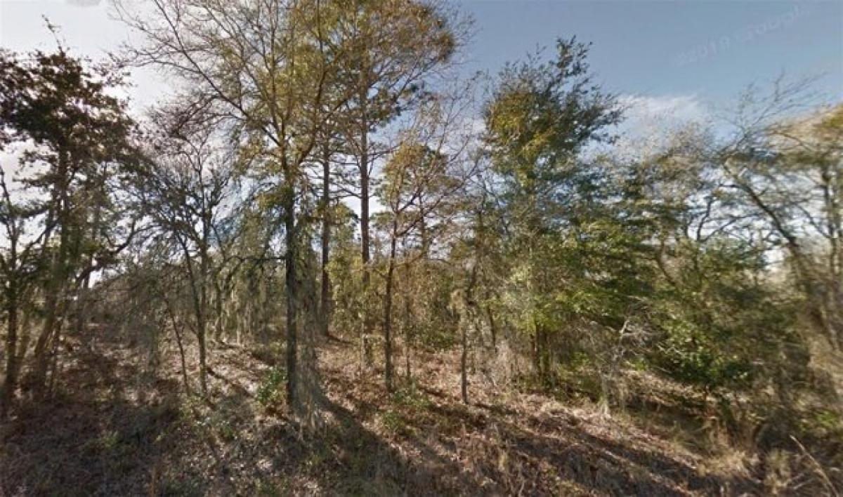 Picture of Residential Land For Sale in Williston, Florida, United States