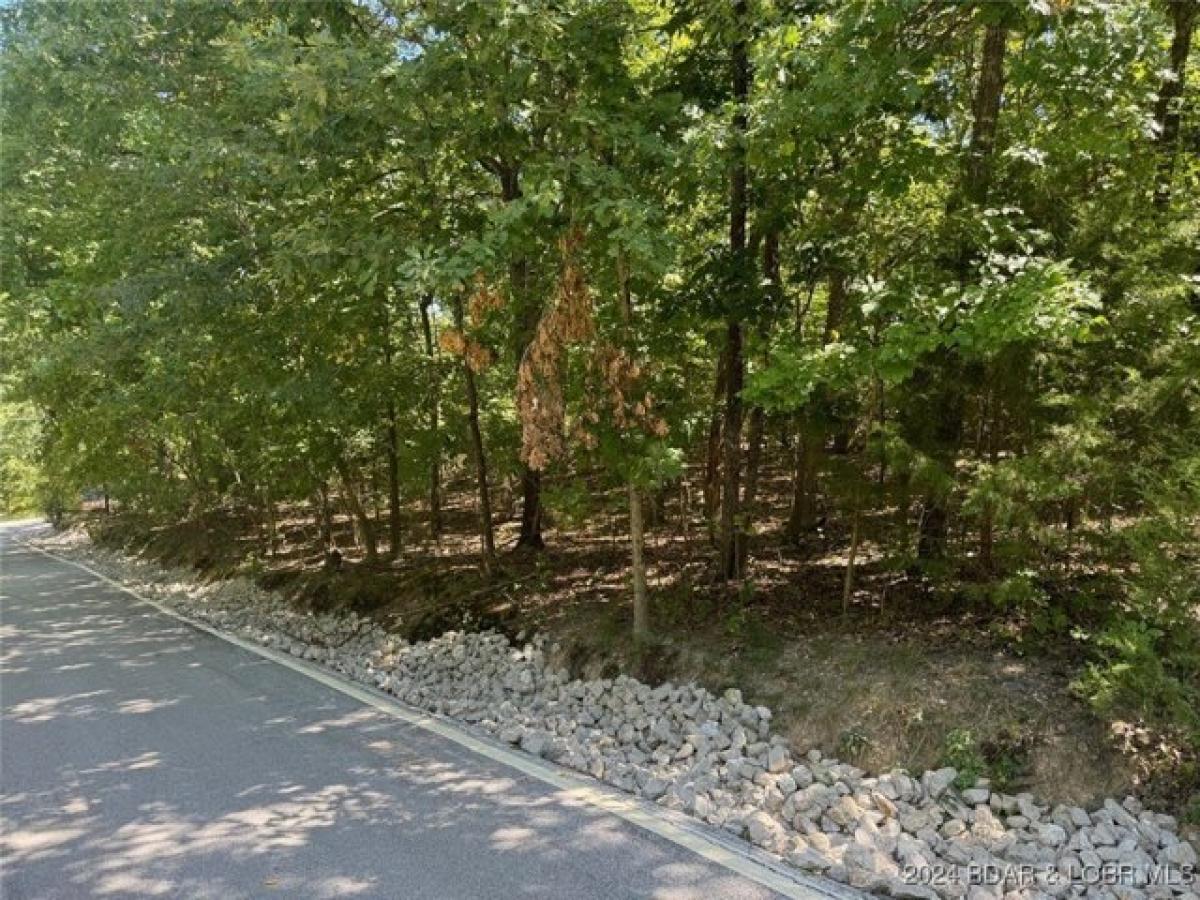 Picture of Residential Land For Sale in Osage Beach, Missouri, United States