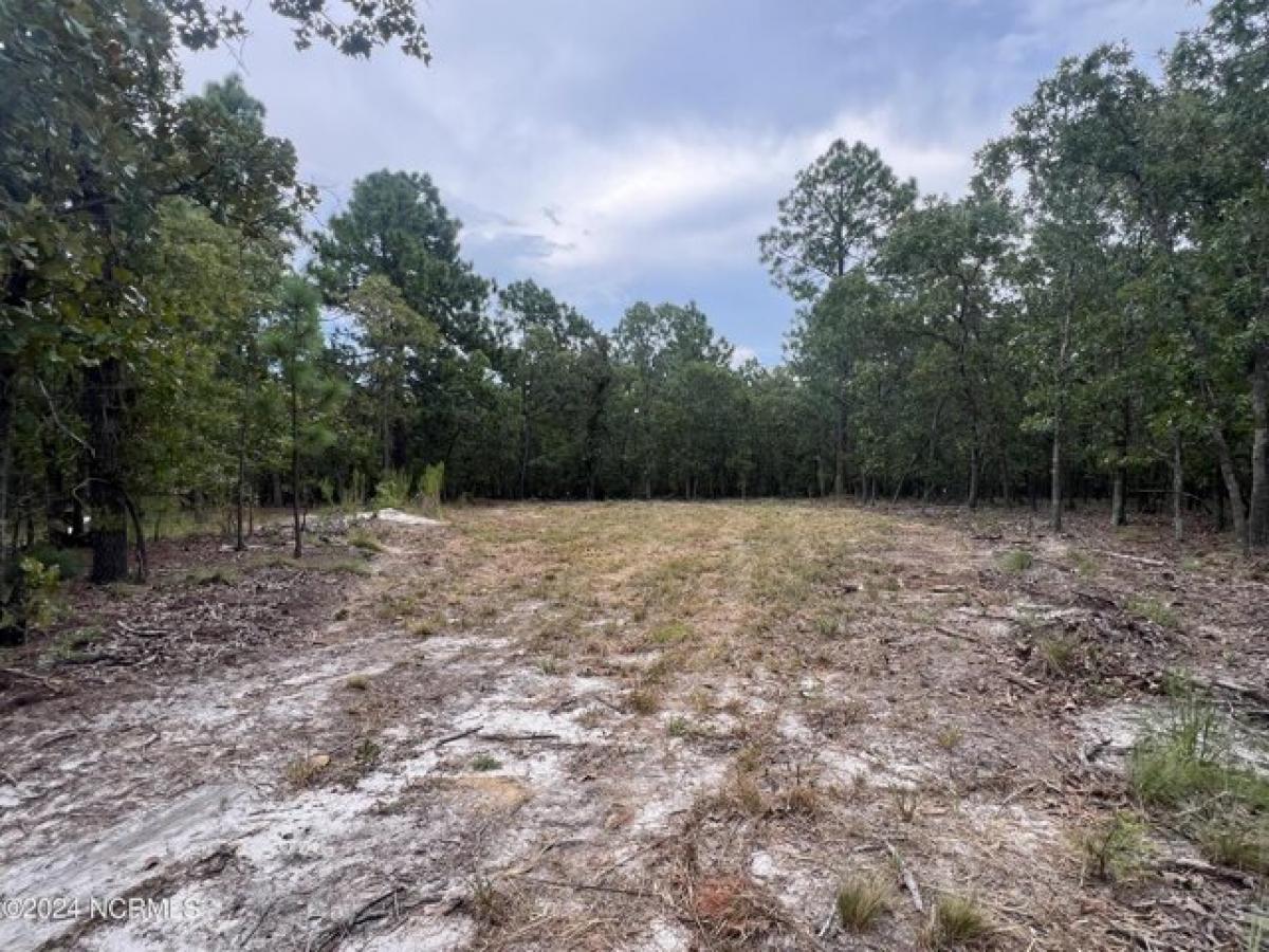 Picture of Residential Land For Sale in Aberdeen, North Carolina, United States