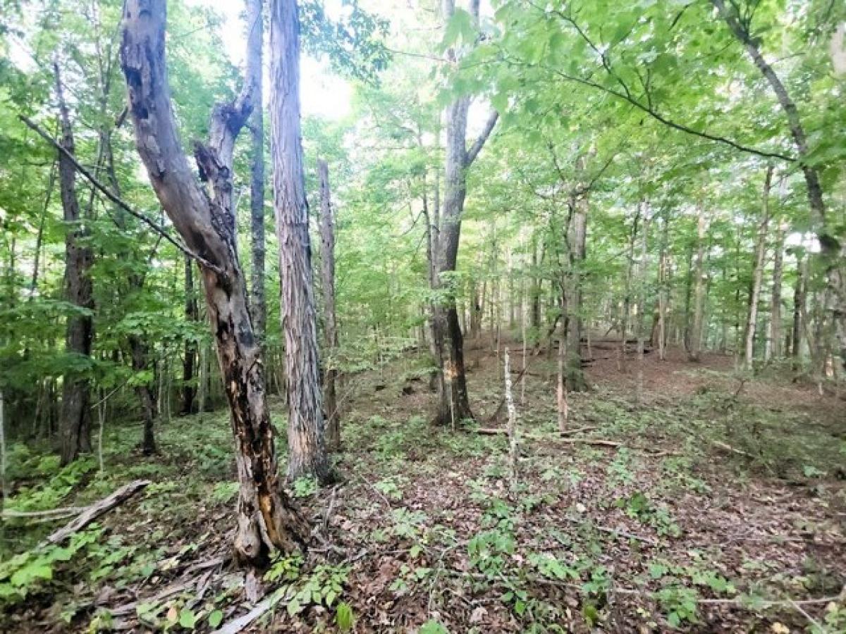 Picture of Residential Land For Sale in Princeton, West Virginia, United States