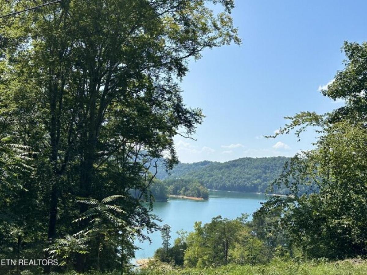 Picture of Residential Land For Sale in Sharps Chapel, Tennessee, United States