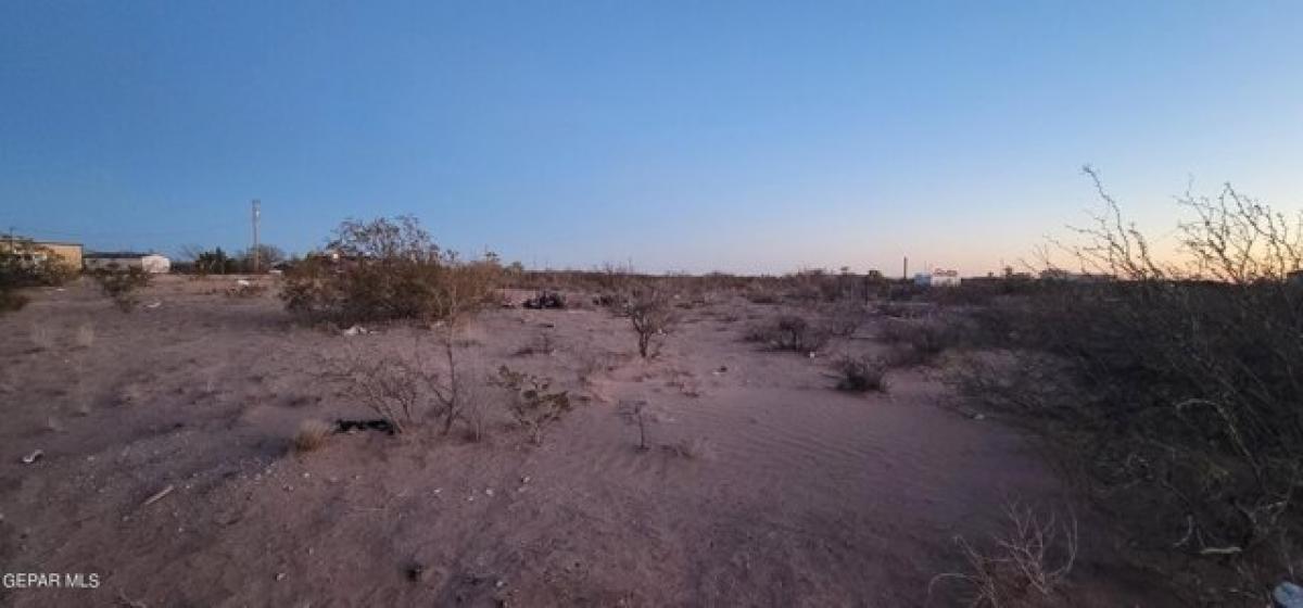 Picture of Residential Land For Sale in El Paso, Texas, United States