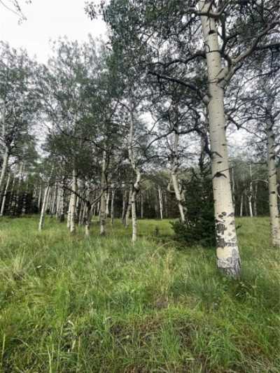 Residential Land For Sale in Fort Garland, Colorado