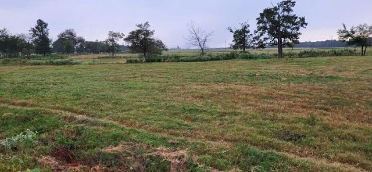 Picture of Residential Land For Sale in Yantis, Texas, United States