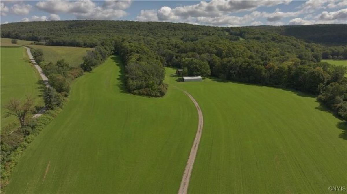 Picture of Residential Land For Sale in Tully, New York, United States