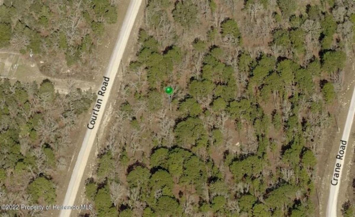 Picture of Residential Land For Sale in Weeki Wachee, Florida, United States