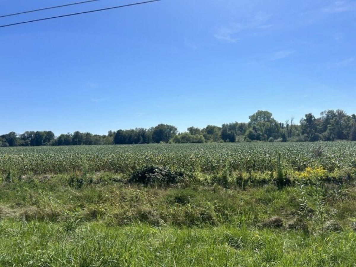 Picture of Residential Land For Sale in Atlantic, Pennsylvania, United States