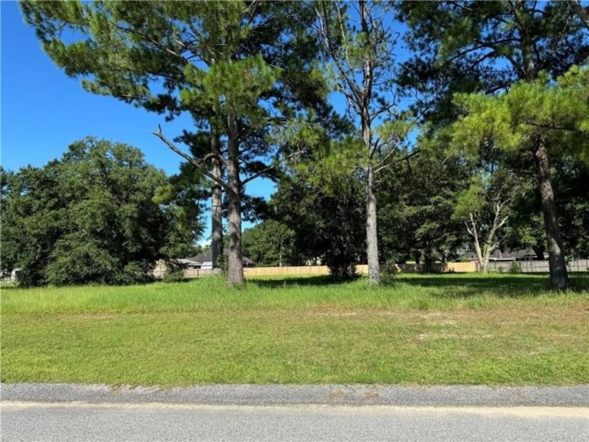 Picture of Residential Land For Sale in Theodore, Alabama, United States