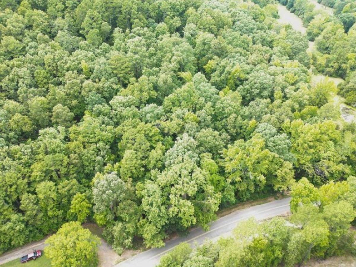 Picture of Residential Land For Sale in Dover, Arkansas, United States