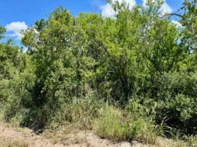 Residential Land For Sale in Sandia, Texas