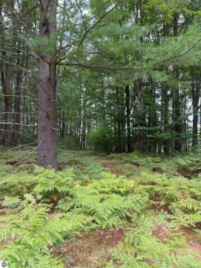 Residential Land For Sale in Kalkaska, Michigan