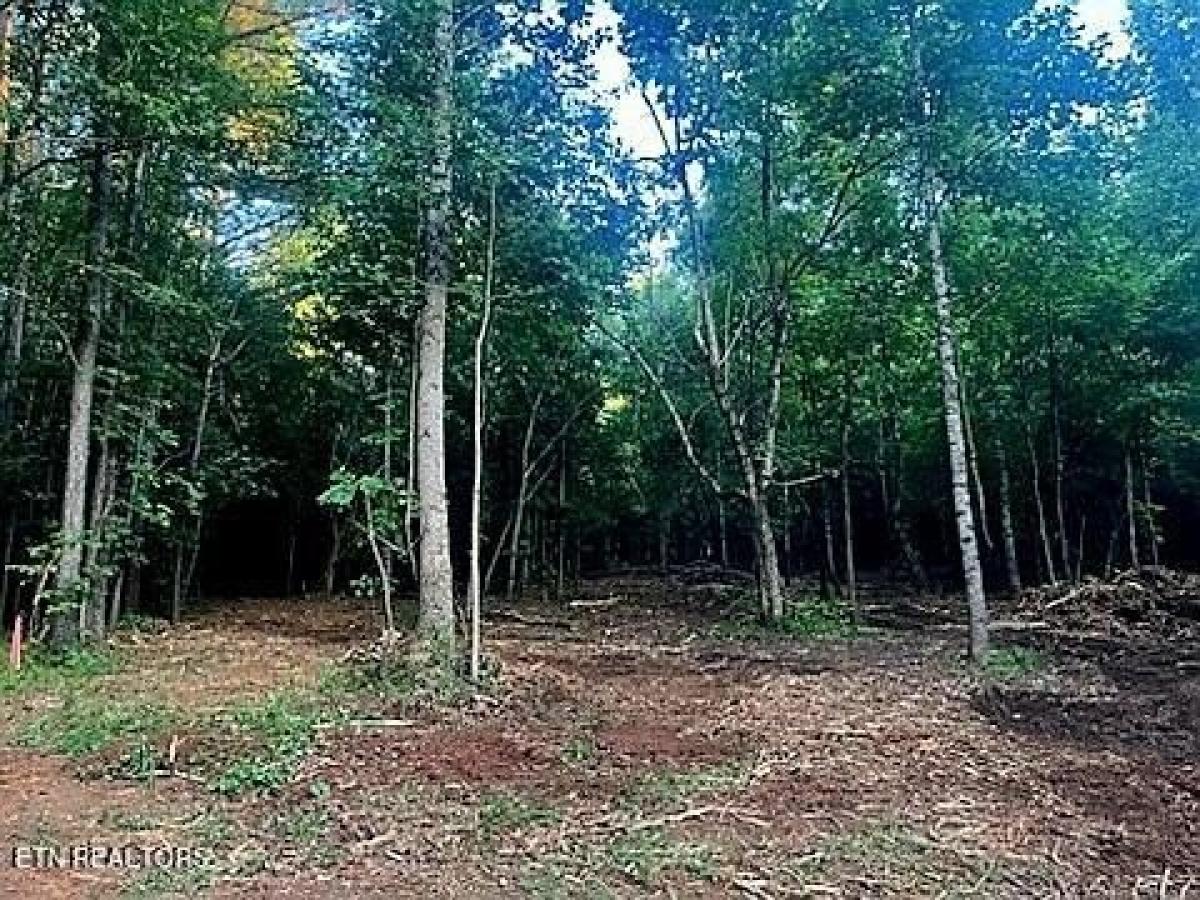 Picture of Residential Land For Sale in Loudon, Tennessee, United States