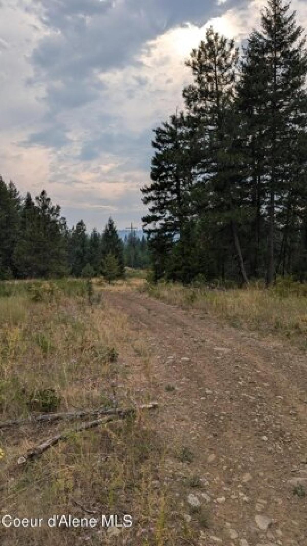 Picture of Residential Land For Sale in Spirit Lake, Idaho, United States