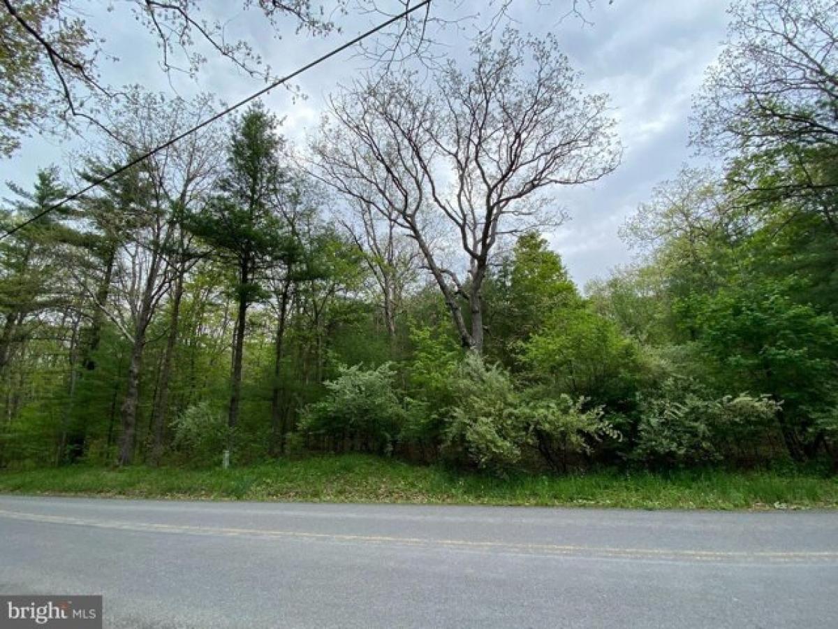 Picture of Residential Land For Sale in Swanton, Maryland, United States