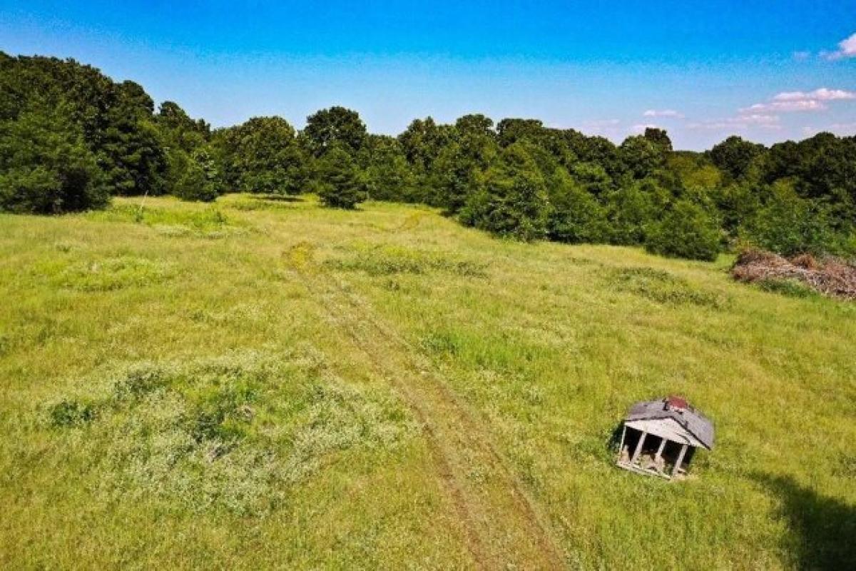 Picture of Residential Land For Sale in Mount Pleasant, Arkansas, United States