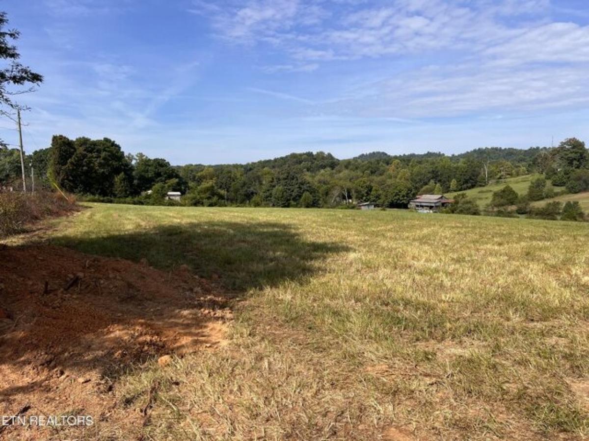 Picture of Residential Land For Sale in Madisonville, Tennessee, United States