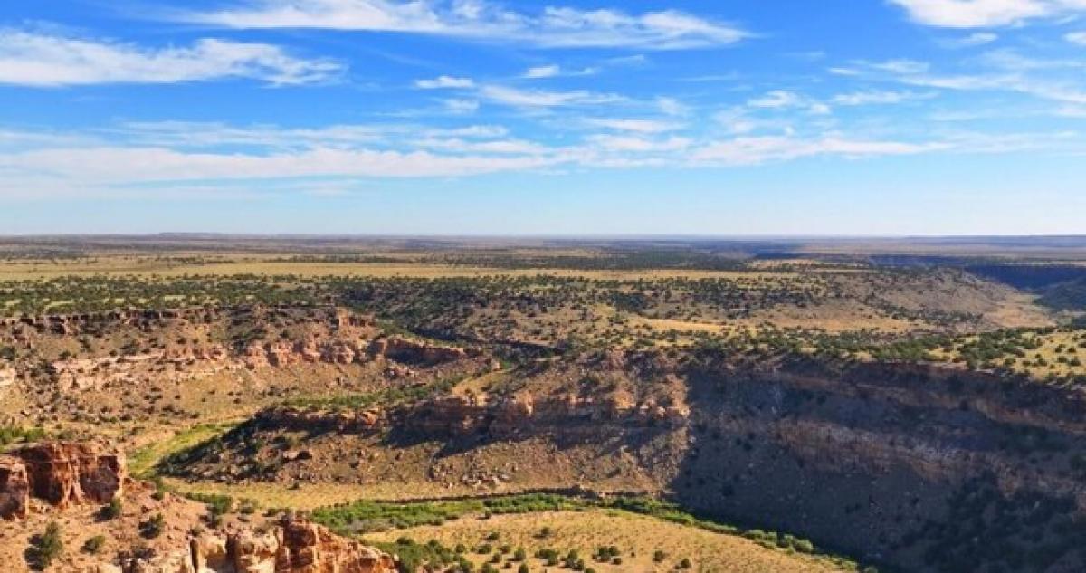 Picture of Residential Land For Sale in Model, Colorado, United States