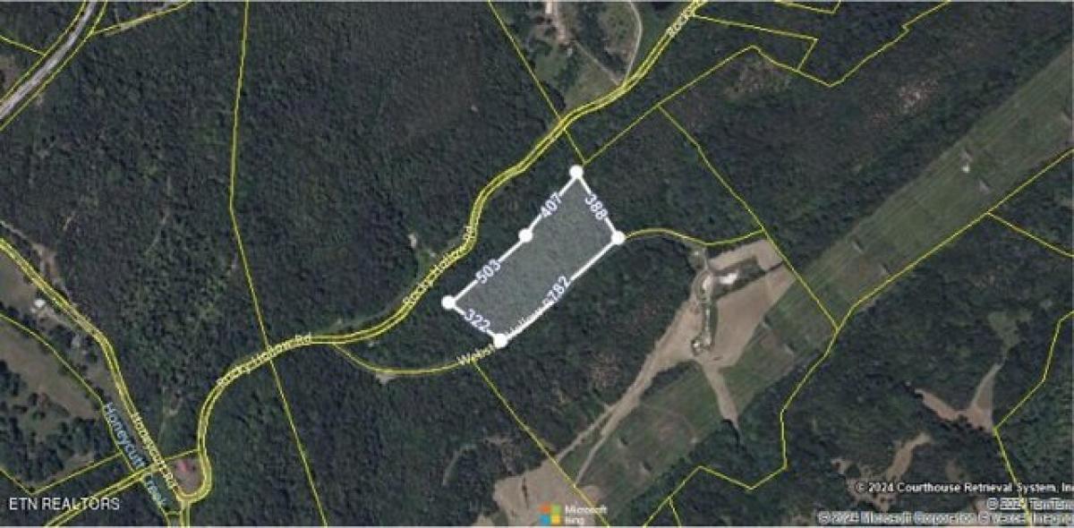 Picture of Residential Land For Sale in Rogersville, Tennessee, United States