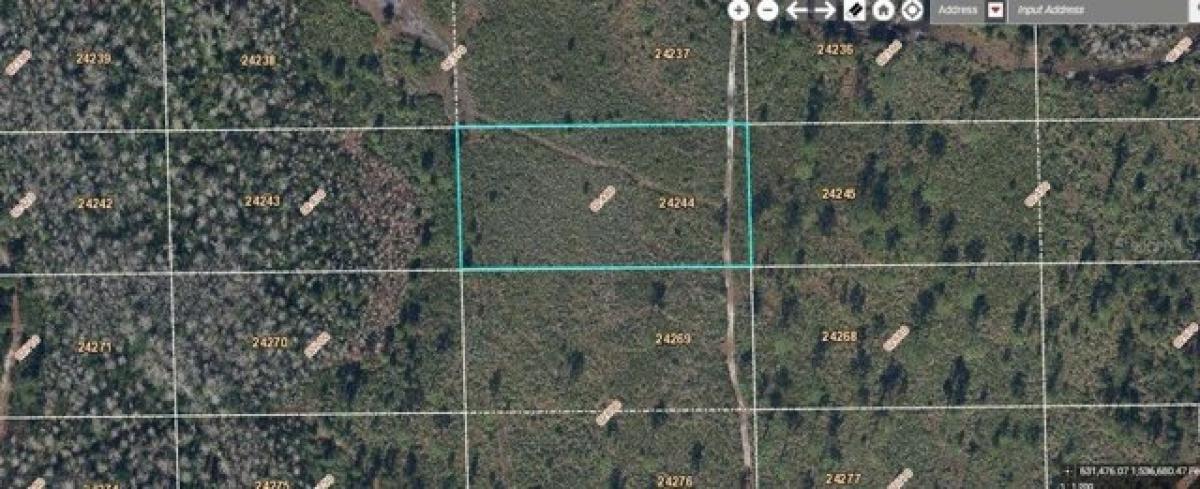 Picture of Residential Land For Sale in Orlando, Florida, United States