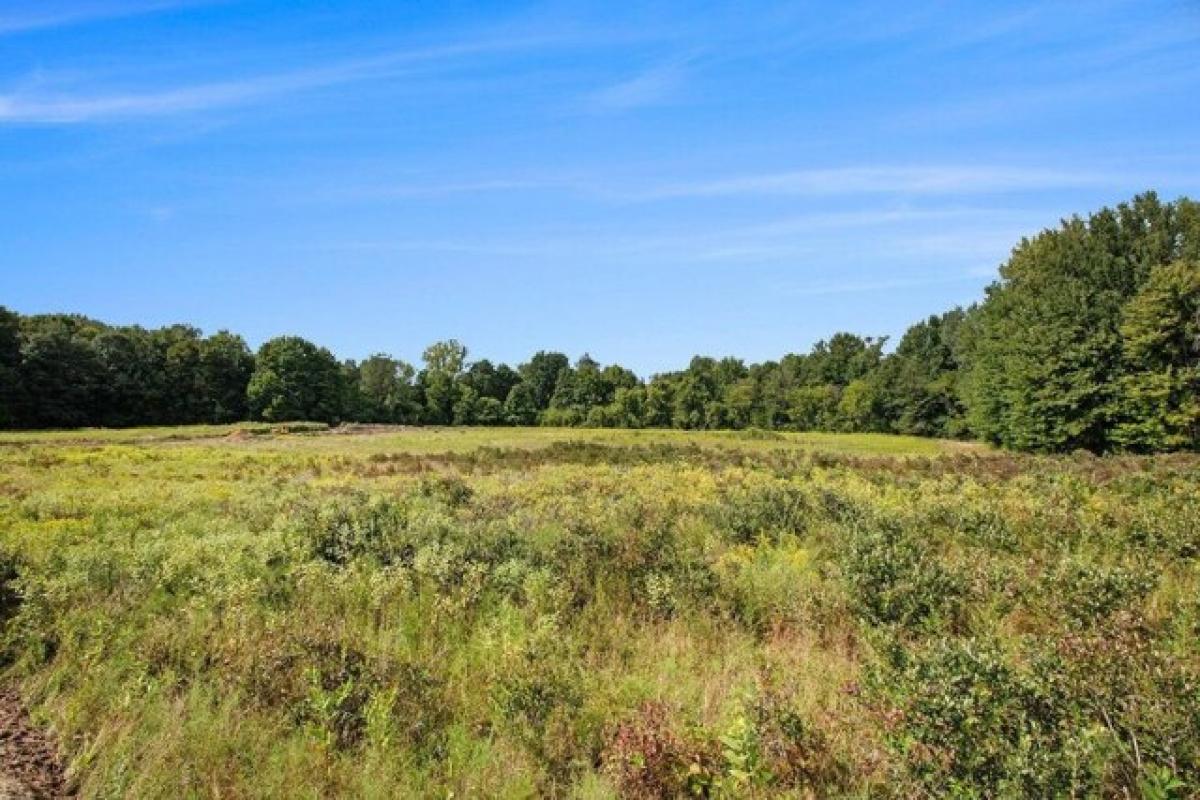 Picture of Residential Land For Sale in Grand Junction, Michigan, United States