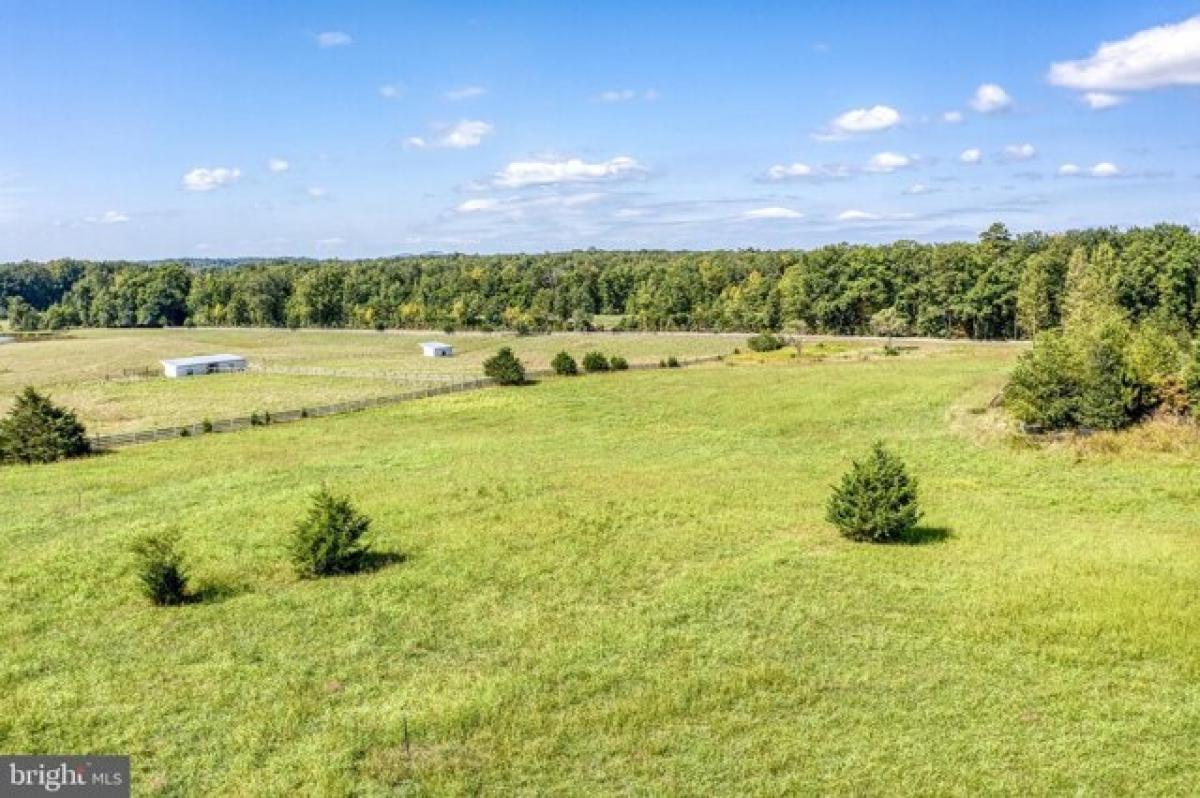 Picture of Residential Land For Sale in Lignum, Virginia, United States