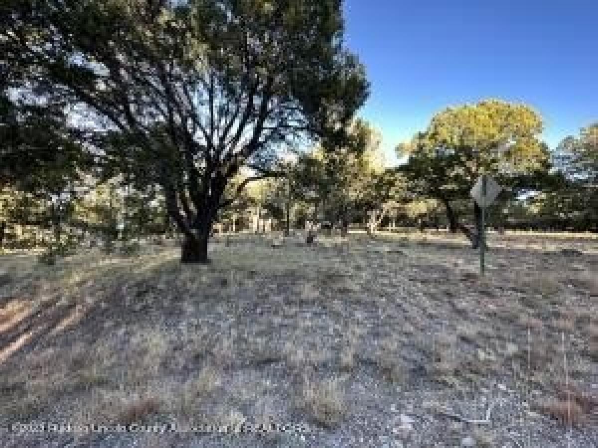 Picture of Residential Land For Sale in Alto, New Mexico, United States