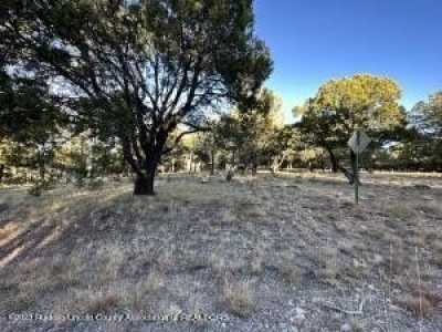 Residential Land For Sale in Alto, New Mexico