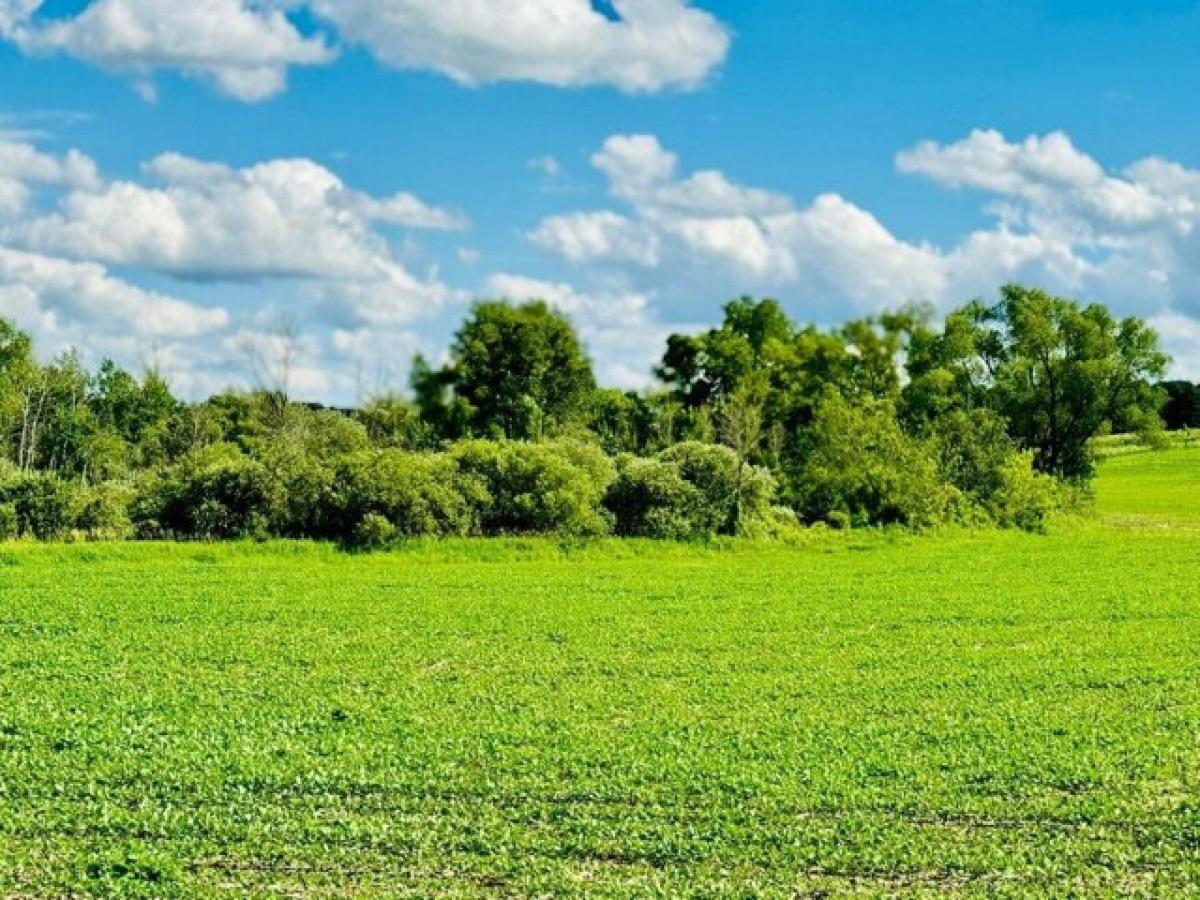 Picture of Residential Land For Sale in Campbellsport, Wisconsin, United States